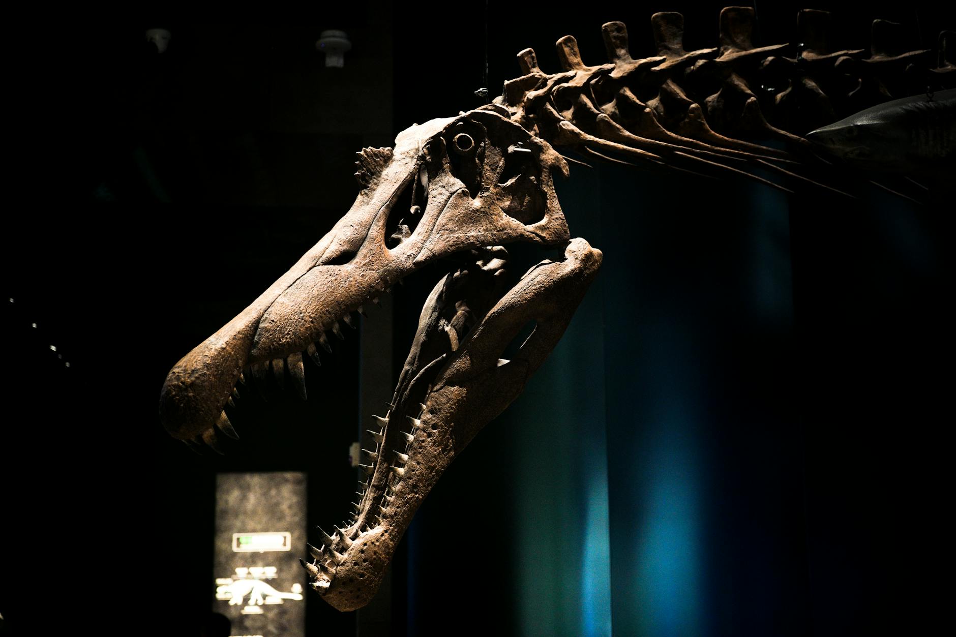 The World Museum Liverpool, a family-friendly museum featuring natural history, archaeology, ethnology, and a planetarium