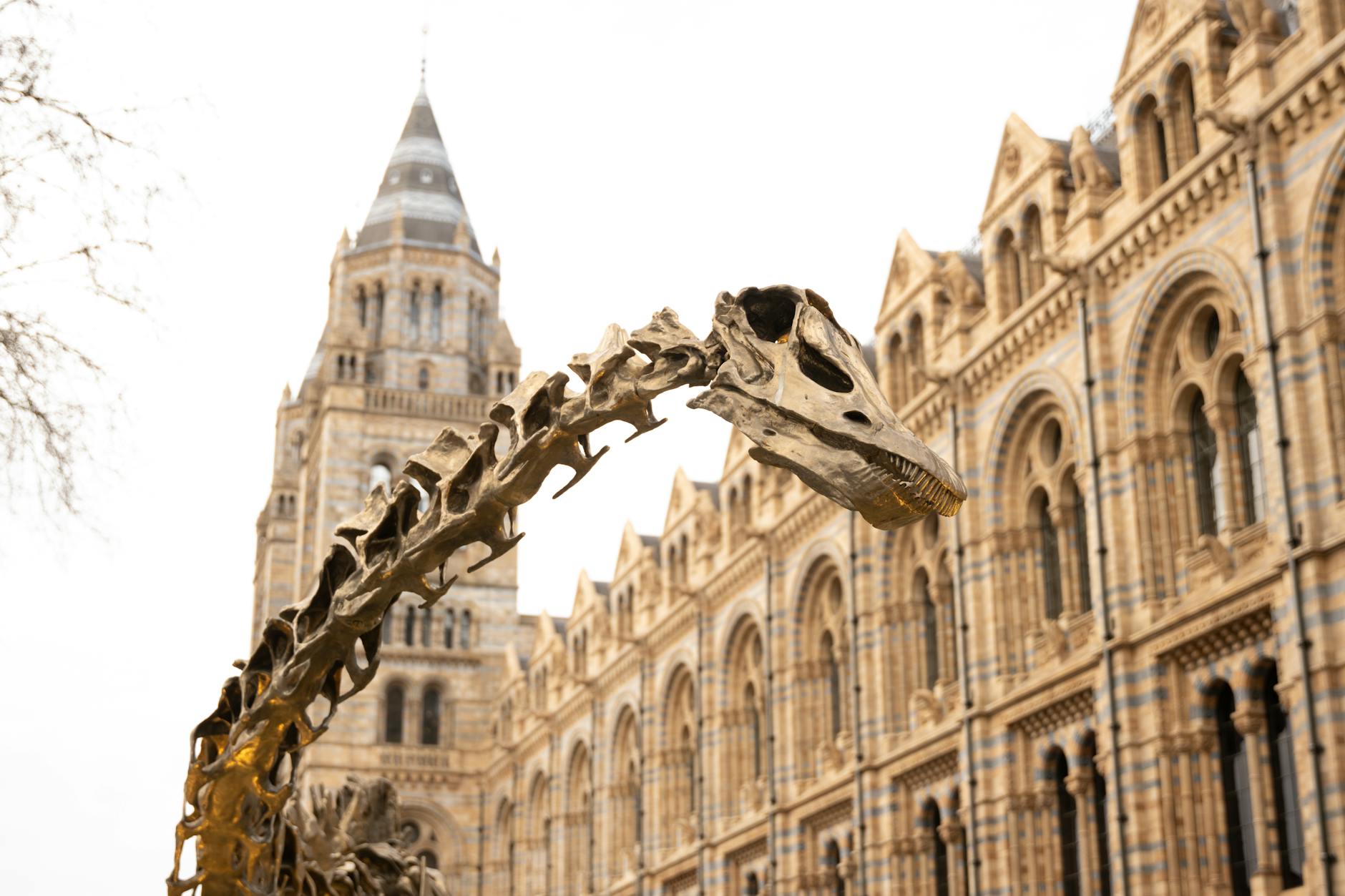 World Museum Liverpool free admission dinosaur skeleton family-friendly