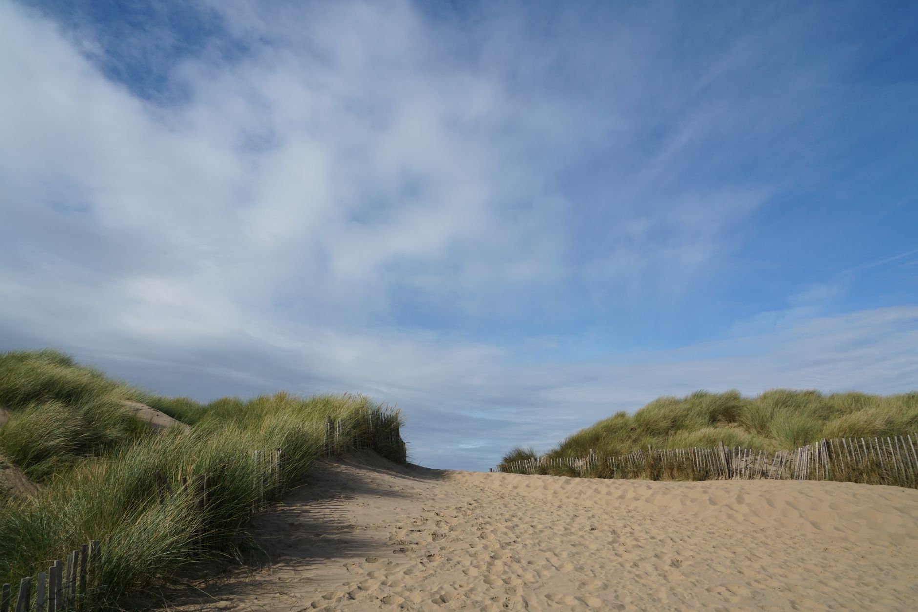 Formby beach red squirrel reserve National Trust Liverpool