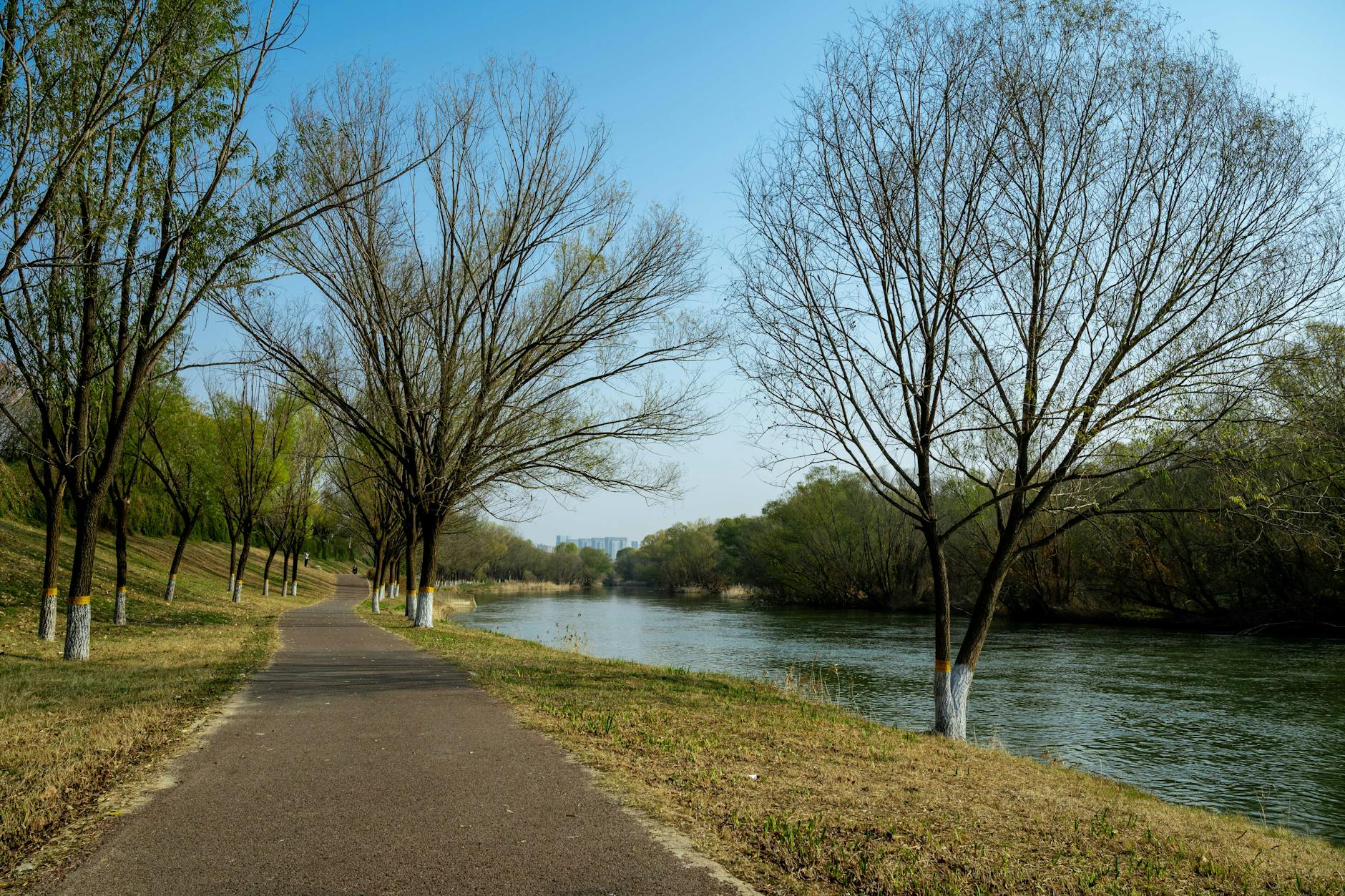 Liverpool park outdoor scenery - free things to do in Liverpool outdoor activities