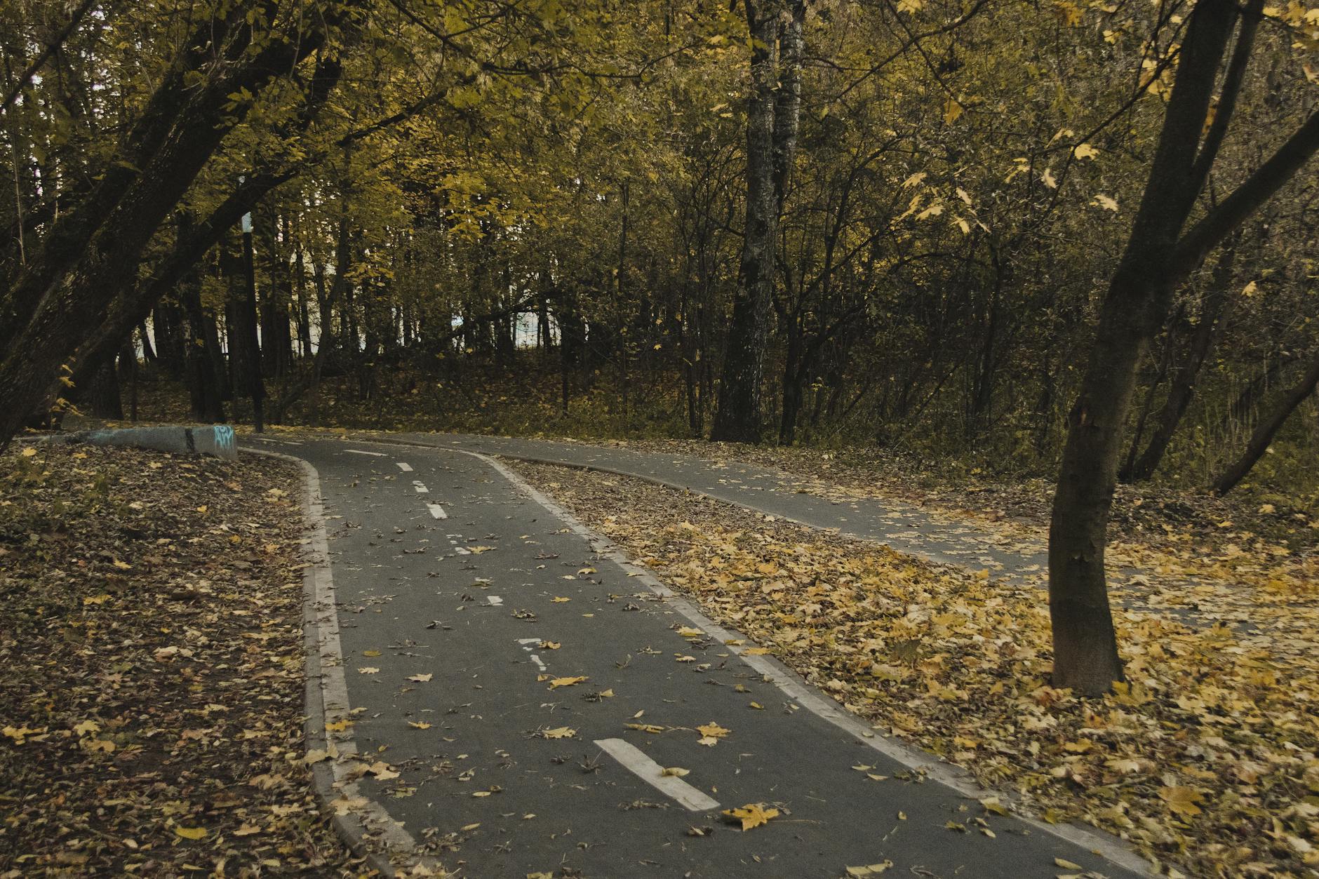 Sefton Park Liverpool guide autumn arboretum walking