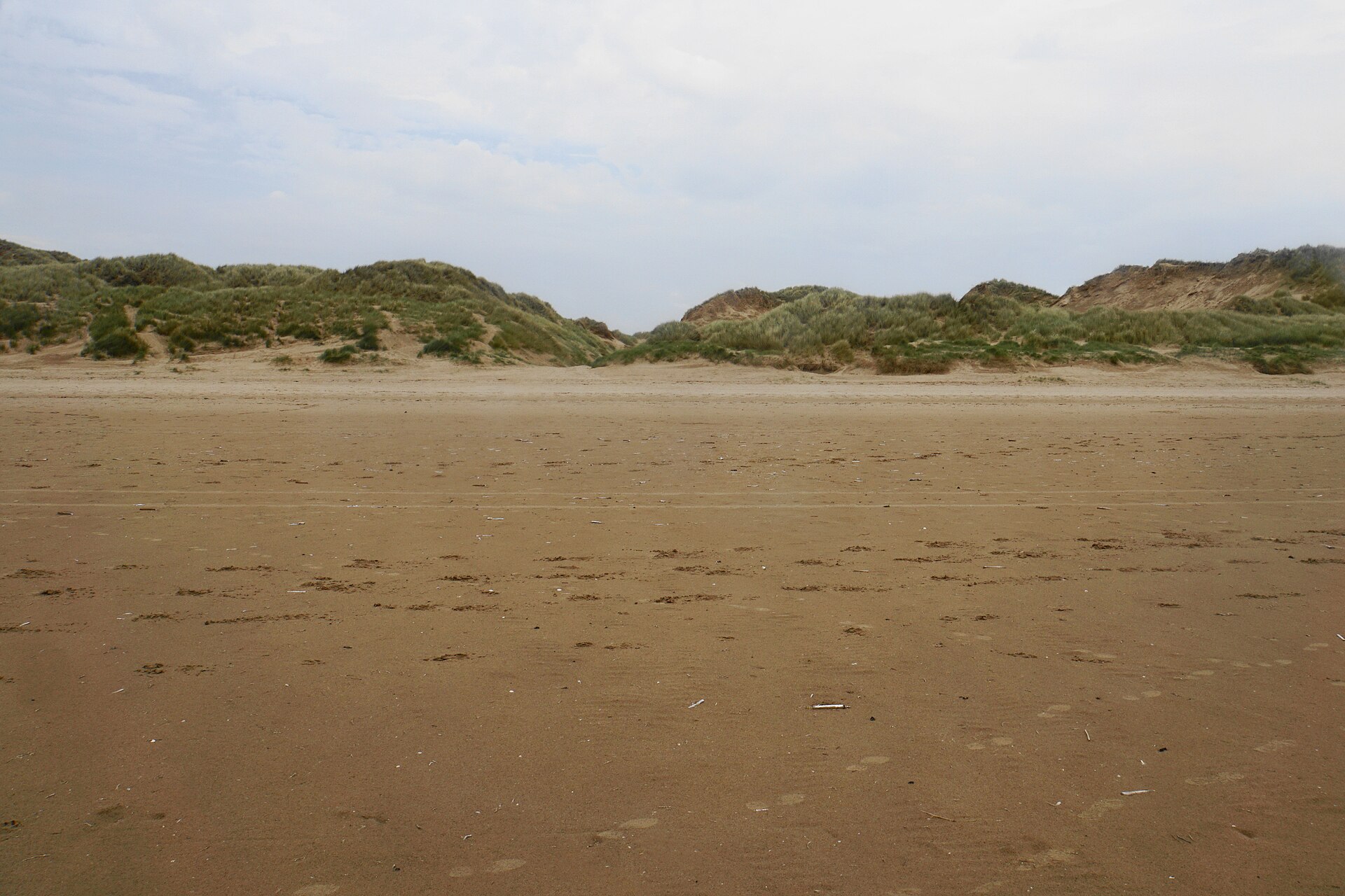 Wide empty sands at Formby covered in dog paw prints, with grassy sand dunes behind under a pale sky