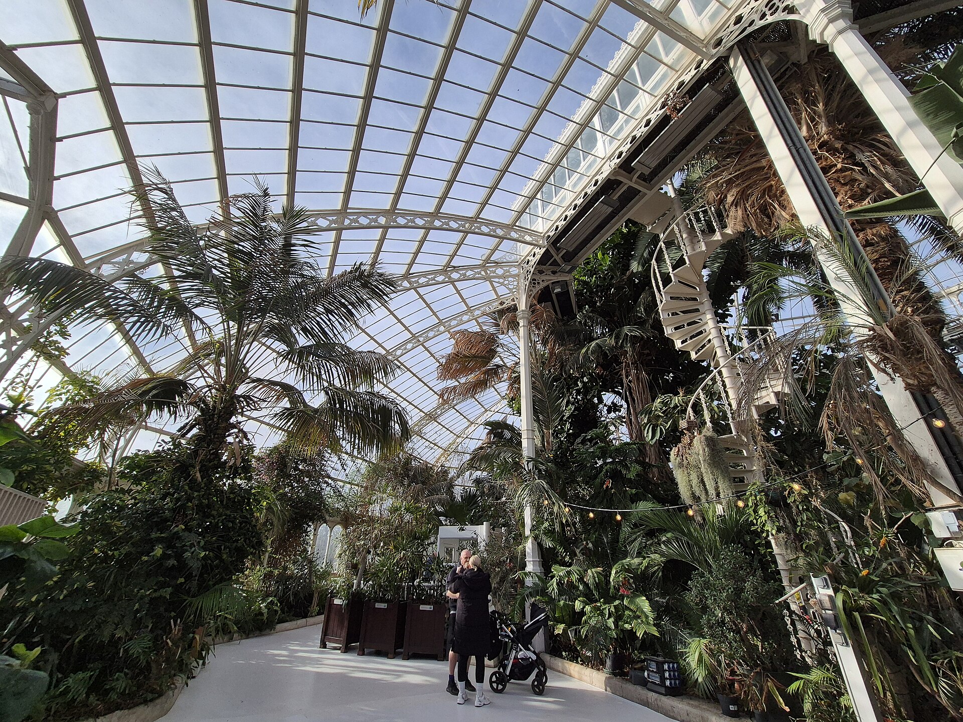 Liverpool for Every Traveller: Accessible & Inclusive Guide 2 The level interior of Sefton Park Palm House in Liverpool with palms under a curved Victorian glass roof